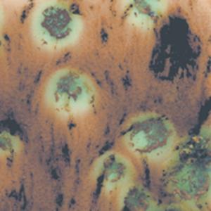 Esmalte Mayco - Jungle Gems - S-2709 CAPPUCCINO MINT