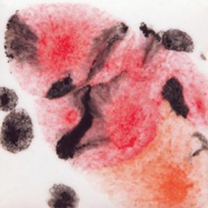 Esmalte Mayco - Jungle Gems - S-2727 POPPY FIELDS