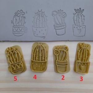 Kit Cactus N°2
